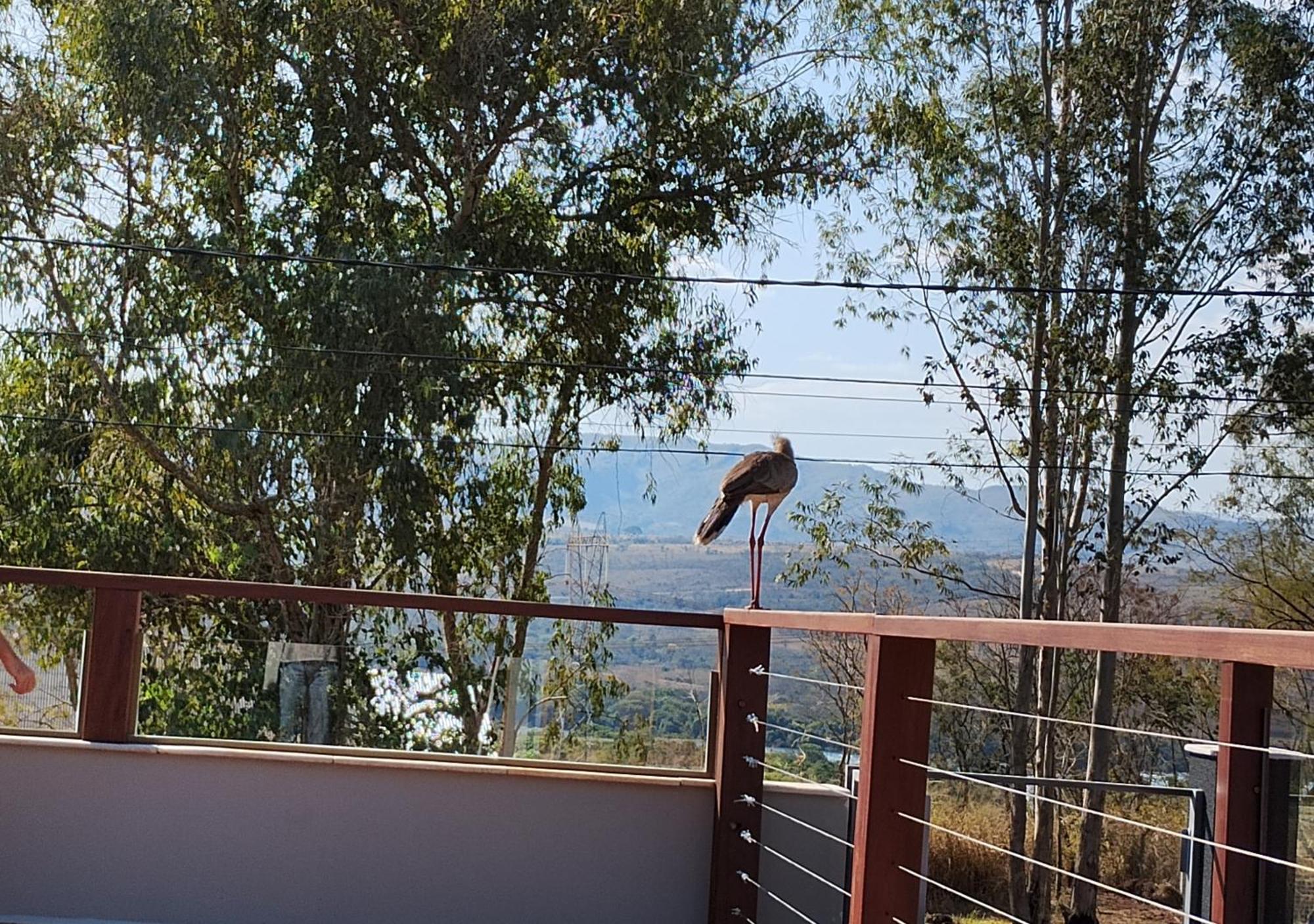 Pousada Ribeirinha Sao Jose da Barra Luaran gambar